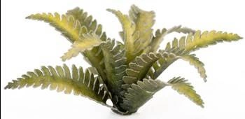 Laser Plants - Deer Fern